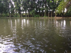 Robles Tilapia Farm